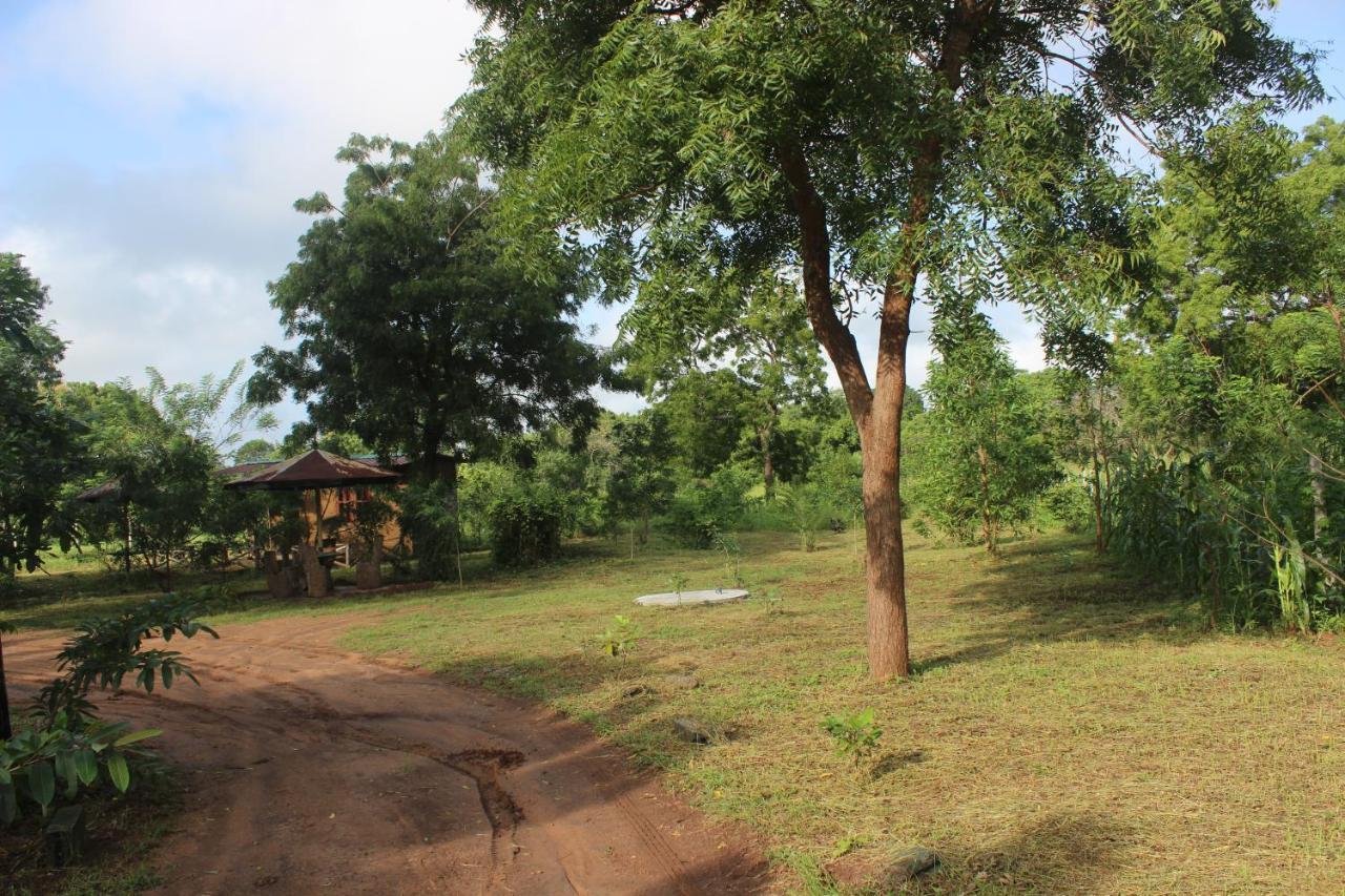 Wilpattu Holiday Home Nochchiyagama Kültér fotó